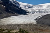 Canadian Rockies +