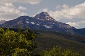 Enlarge photo 103