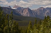 Enlarge photo 105