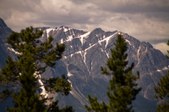 Enlarge photo 109