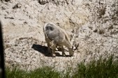 Enlarge photo 112