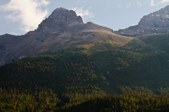 Enlarge photo 174