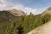 Enlarge photo 175