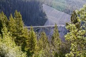 Enlarge photo 177