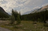 Enlarge photo 184