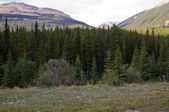 Enlarge photo 185