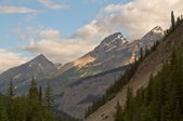 Enlarge photo 186
