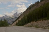 Enlarge photo 187