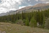 Enlarge photo 188