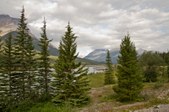 Enlarge photo 193