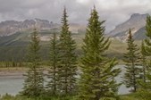 Enlarge photo 198
