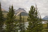 Enlarge photo 199