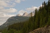 Enlarge photo 202
