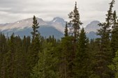 Enlarge photo 206