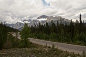 Enlarge photo 207