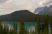 Enlarge photo 214
