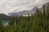Enlarge photo 215