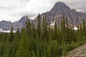 Enlarge photo 216