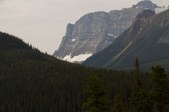 Enlarge photo 220