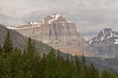 Enlarge photo 225
