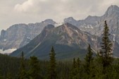 Enlarge photo 228