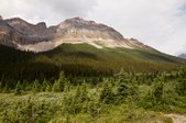 Enlarge photo 229