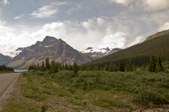 Enlarge photo 230