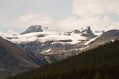 Enlarge photo 231