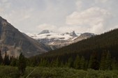 Enlarge photo 233