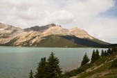 Enlarge photo 235