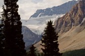 Enlarge photo 238