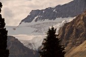 Enlarge photo 239