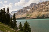 Enlarge photo 240