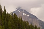 Enlarge photo 246