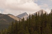 Enlarge photo 247