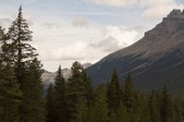 Enlarge photo 248