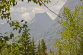 Enlarge photo 285