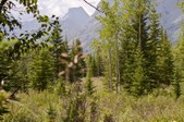 Enlarge photo 287