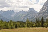 Enlarge photo 293