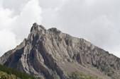 Enlarge photo 297