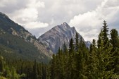 Enlarge photo 298