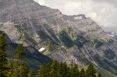 Enlarge photo 299