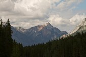 Enlarge photo 319