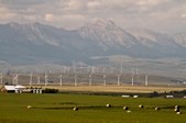 Enlarge photo 320