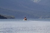 Enlarge photo 345