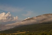 Enlarge photo 390