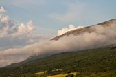 Enlarge photo 391