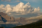 Enlarge photo 392