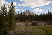 Enlarge photo 51