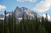 Enlarge photo 54